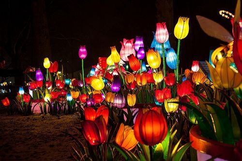 LAMPION KARAKTER